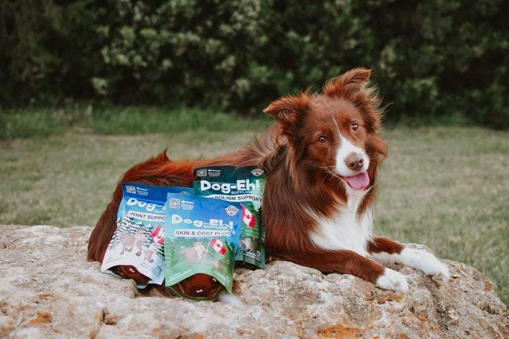 Dog-Eh! Joint Support