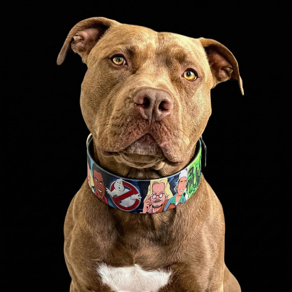 The “Ghostbuster” collar -LIMITED