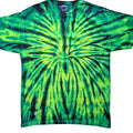 WILD SPIDER - CD100 - FRONT