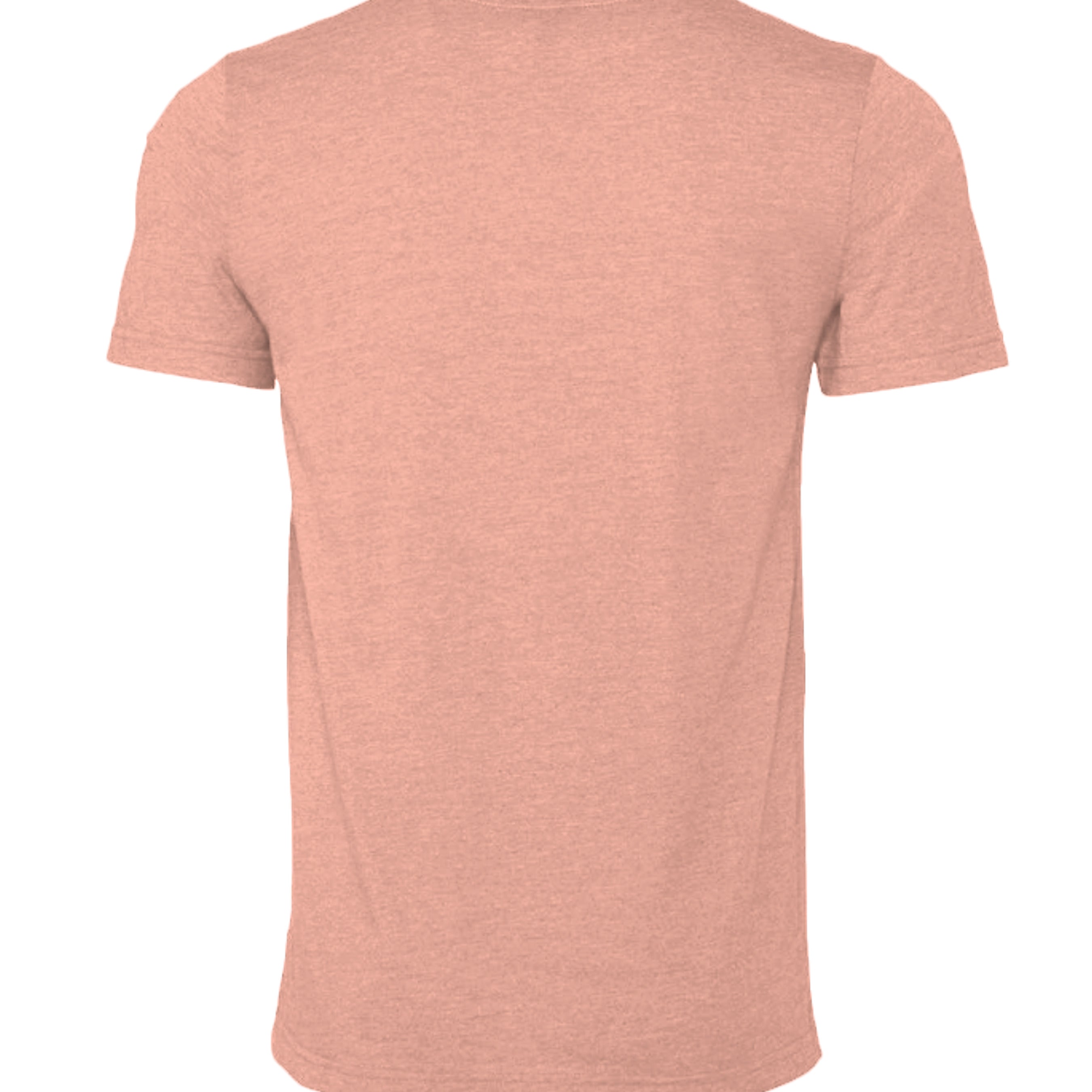 HEATHER SUNSET - 3001CVC - BACK
