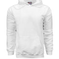WHITE - F170 - FRONT